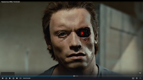 TERMINATOR1-4.jpg