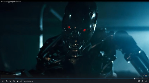 TERMINATOR1-8.jpg
