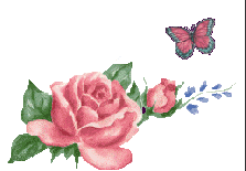 pic-2.gif