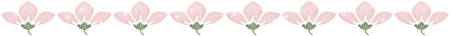 pic-3.gif