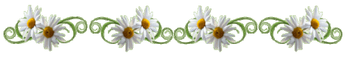 r2n5auuhvq2.gif