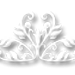 s1200-1dd01c2f54313f95d