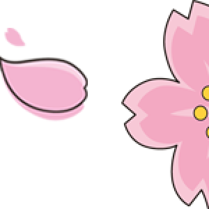 sakura-border002