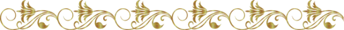 scale_1200-1-1.png