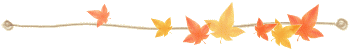0_zb273.png