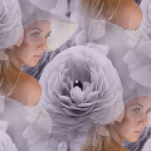 0_113efb_5d348b5e_L
