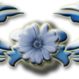 0_113ecc_6093651f_L