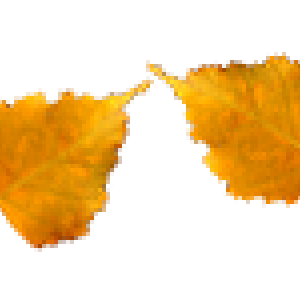 164894056_5840010_pic
