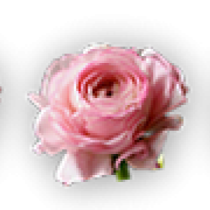 0_04_love_yapfiles.ru