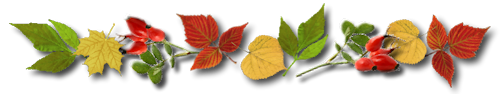 0_dc9c7_3a69cd7d_orig.png