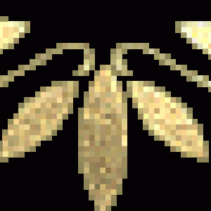 5669052m