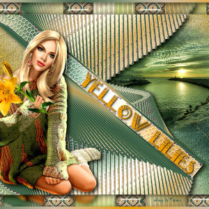 Yellow-Lilies