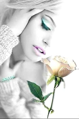 09cb4d1116a76691e8ed6e2bd55d009a.jpg