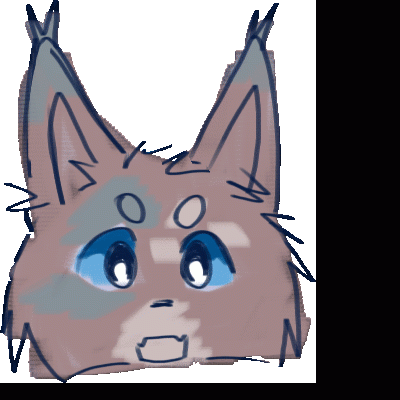 2E.gif