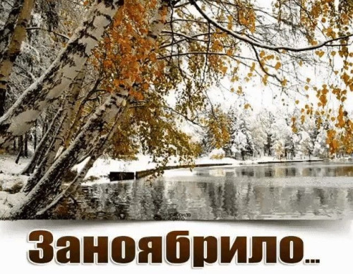 023ac247f7e6c1030fb4b9b5f2ea9ad5.jpg