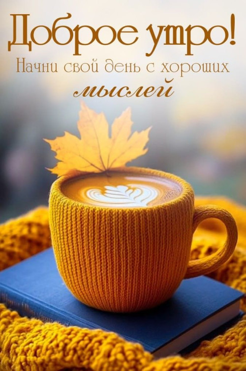 099518495de33d50f670ee0b61bed722.jpg