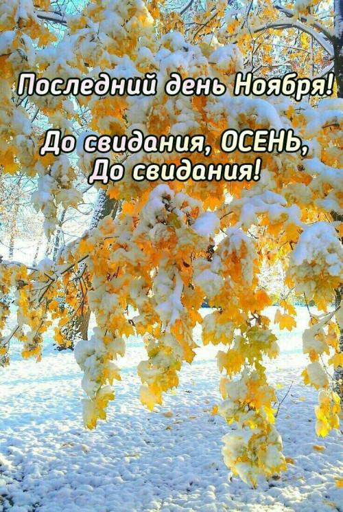 11aed7a808255b5b7f9652e3c95878d1.jpg