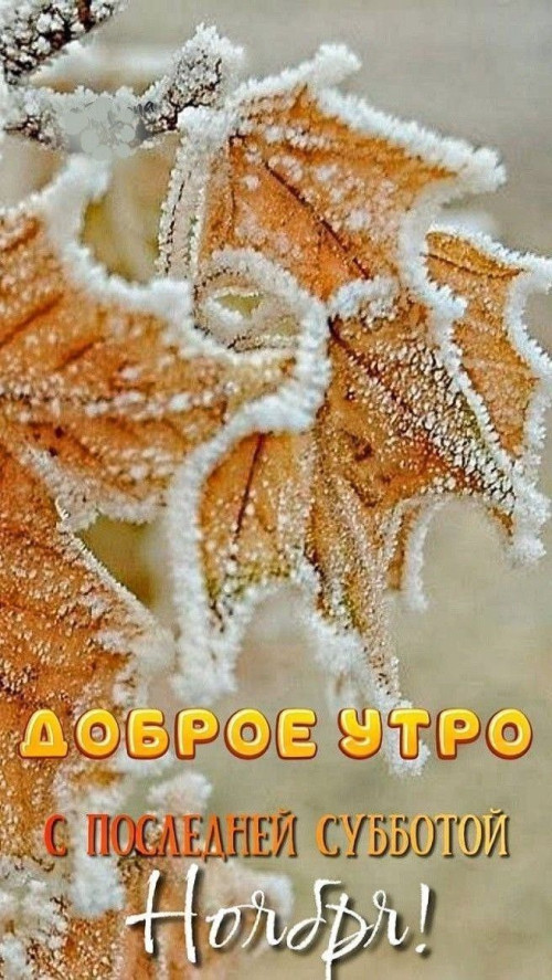 155734b3099d774121453842723580a4.jpg