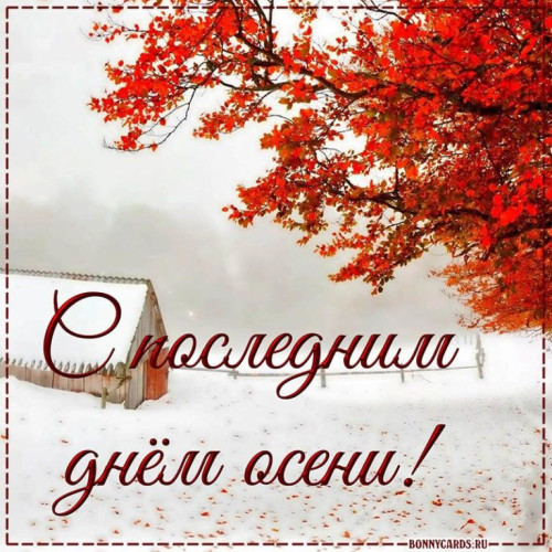 30cc035e042cfcbe4d7303d4c19668f7.jpg