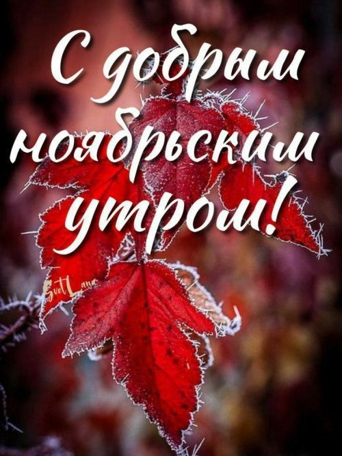 3f4d5f869f9d17586678d586dd5d8ed6.jpg