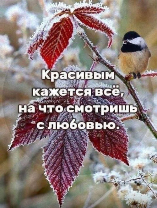 44bfa111ffa94ada0b50bd66f4131182.jpg
