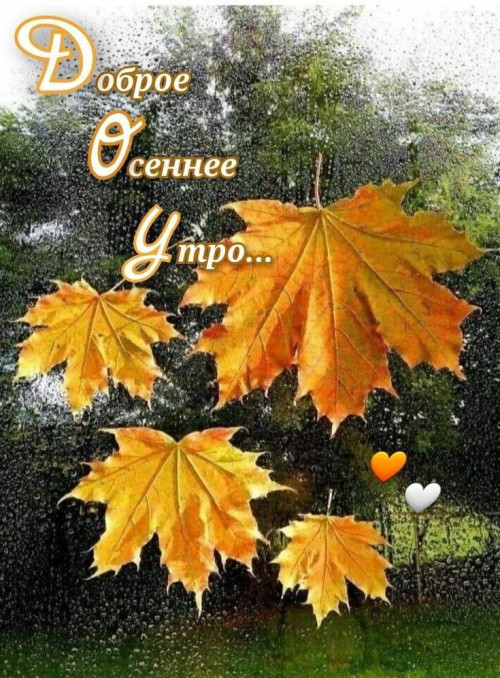 467081ee3b7e4c786d891b8db4a8ca8d.jpg