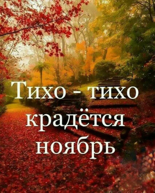 56686b46586ab1a4cdbb667c655d85d0.jpg