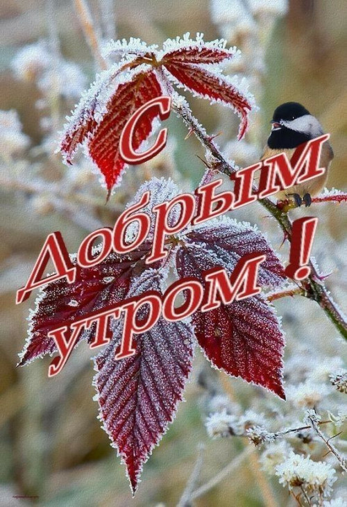 666a53567afef59166a4952e2e7e48af.jpg