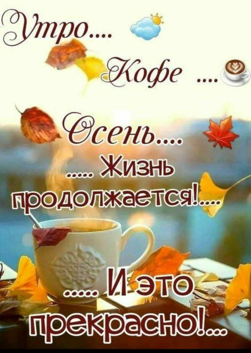 6fd2b22958b20c746ea8940b524a8fd4.jpg