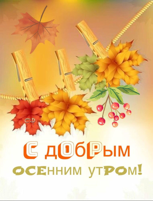 7afb15543b491cac8b49f39e538ac5e9.jpg