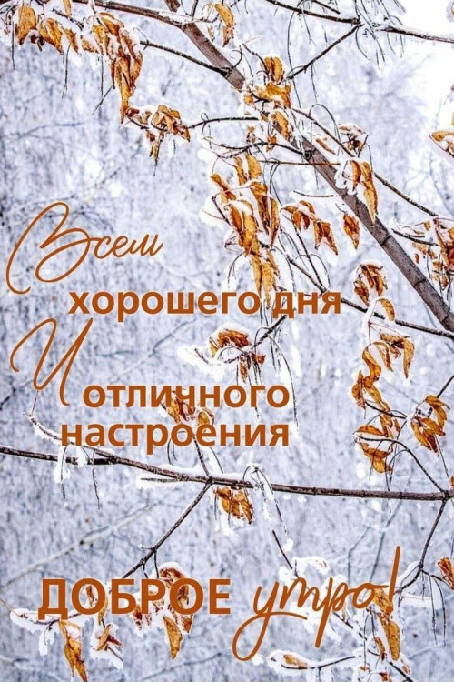 9a5ff580eb9ee2e4dd8eb55a6df3c915.jpg