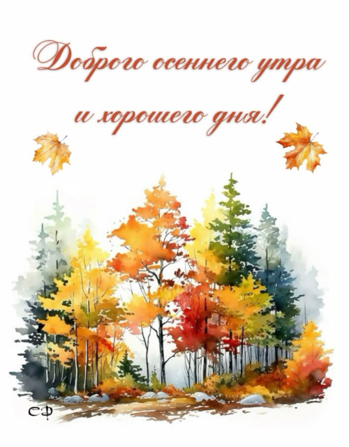 9f0fc373ee63b7f226d81402cab274d7.jpg