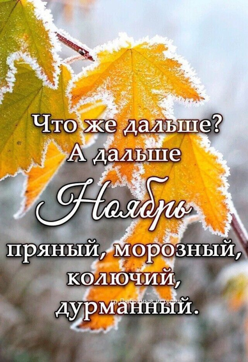 b6eb594d69a8baae39adac4f5de5b502.jpg