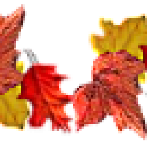 scale_1200-2