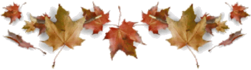 untitled_620897.gif